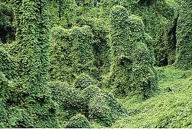 4X修仙游戏《宗门志》参加Steam新品节，免费试玩版开启！